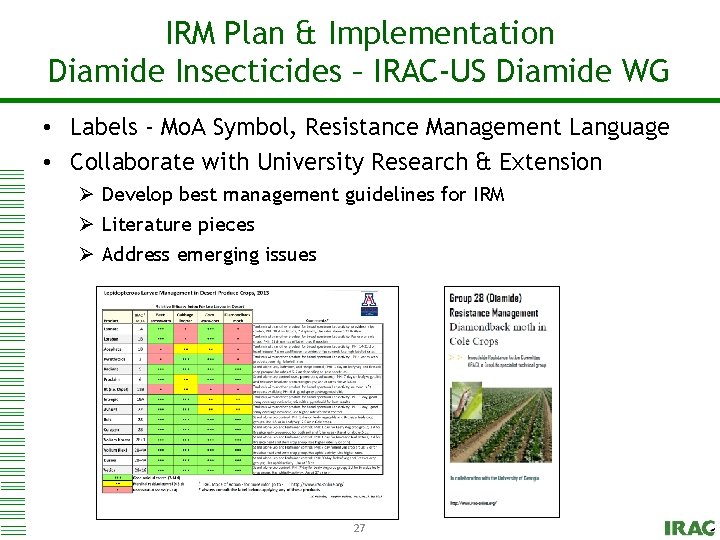 IRM Plan & Implementation Click to edit Master title style Diamide Insecticides – IRAC-US