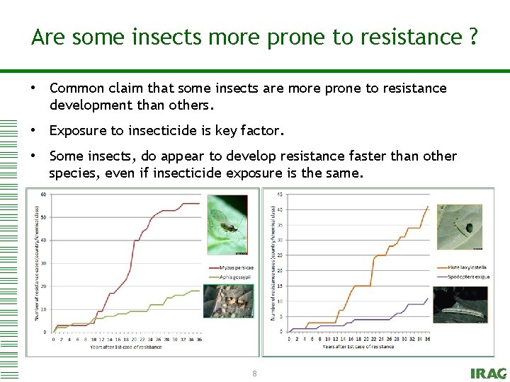 to edit Master titleto style Are some Click insects more prone resistance ? •