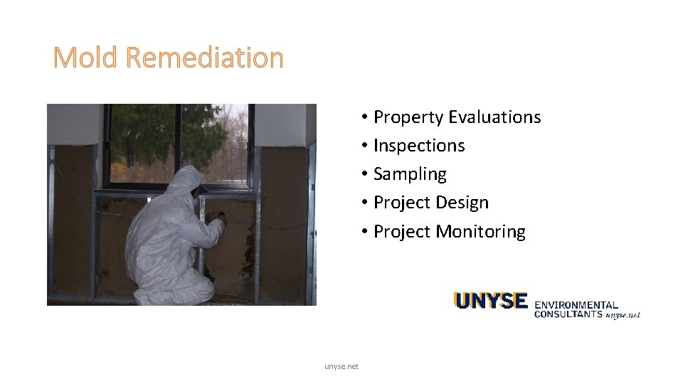 Mold Remediation • Property Evaluations • Inspections • Sampling • Project Design • Project Mold Remediation • Property Evaluations • Inspections • Sampling • Project Design • Project