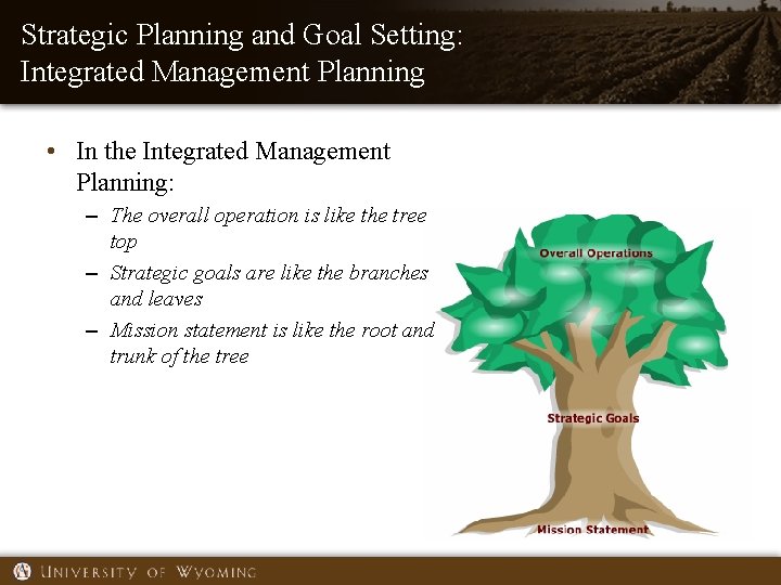 Strategic Planning and Goal Setting: Integrated Management Planning • In the Integrated Management Planning: