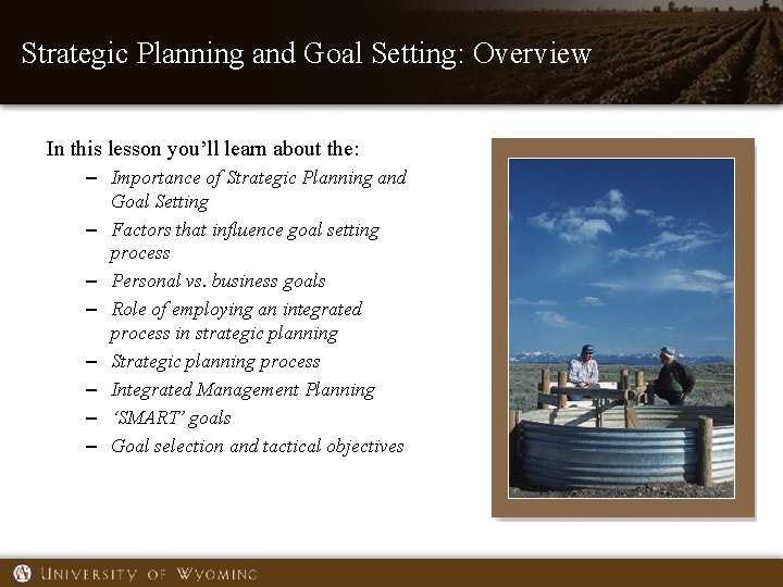 Strategic Planning and Goal Setting: Overview In this lesson you’ll learn about the: –