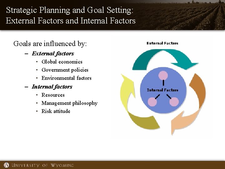 Strategic Planning and Goal Setting: External Factors and Internal Factors Goals are influenced by: