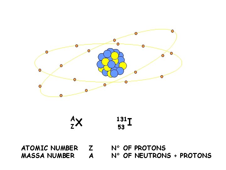 STRUTTURA DI UN NUCLEO A ZX ATOMIC NUMBER MASSA NUMBER 131 53 Z A
