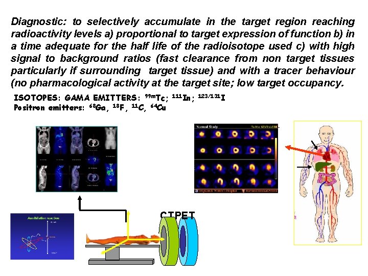 Diagnostic: to selectively accumulate in the target region reaching radioactivity levels a) proportional to