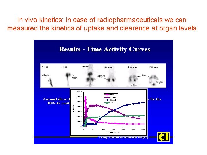 In vivo kinetics: in case of radiopharmaceuticals we can measured the kinetics of uptake
