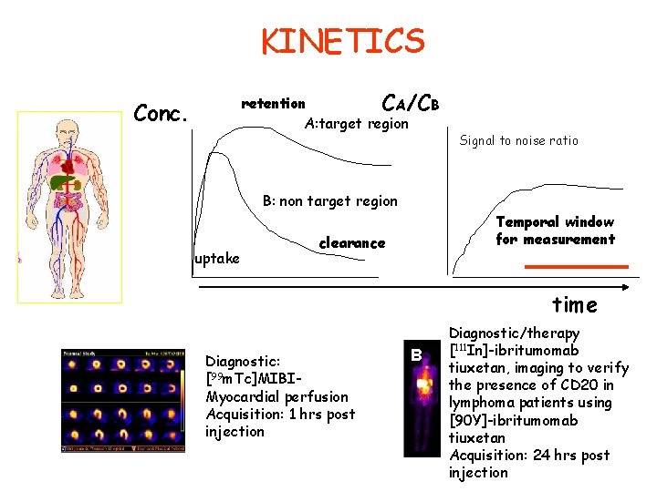 KINETICS retention CA/CB A: target region Conc. Signal to noise ratio B: non target