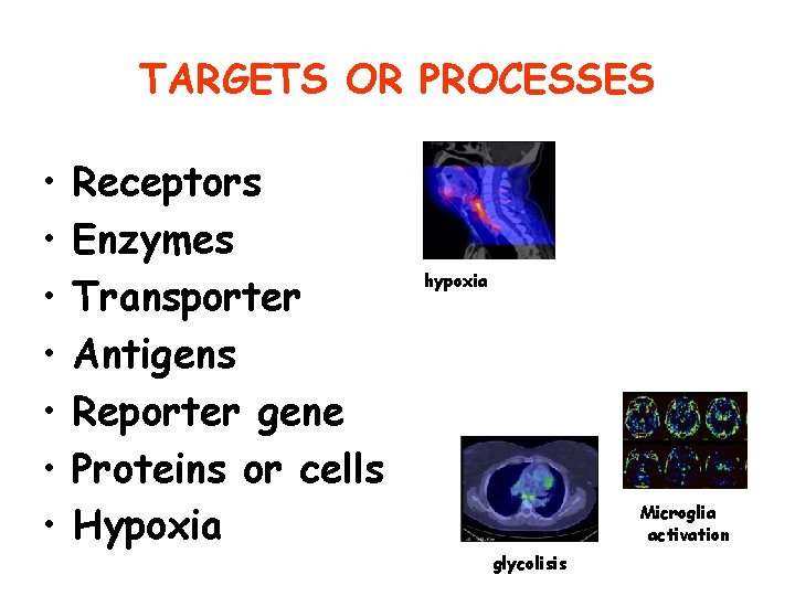 TARGETS OR PROCESSES • • Receptors Enzymes Transporter Antigens Reporter gene Proteins or cells