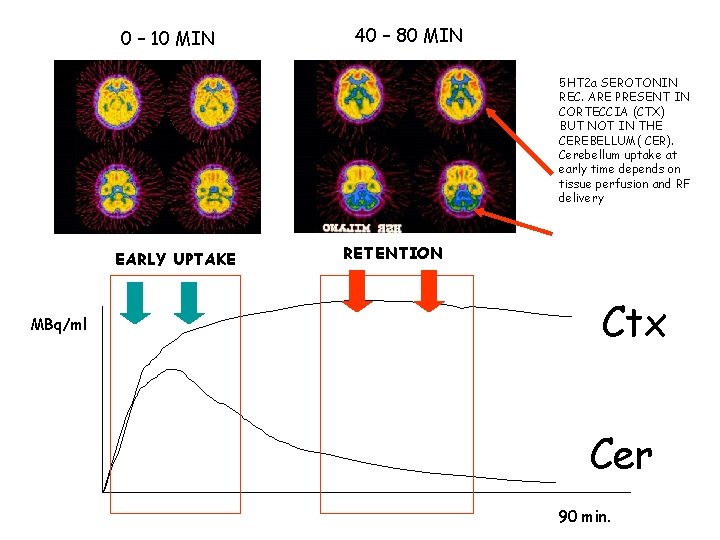 0 – 10 MIN 40 – 80 MIN 5 HT 2 a SEROTONIN REC.