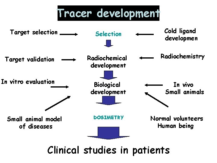 Tracer development Selection Cold ligand developmen Target validation Radiochemical development Radiochemistry In vitro evaluation
