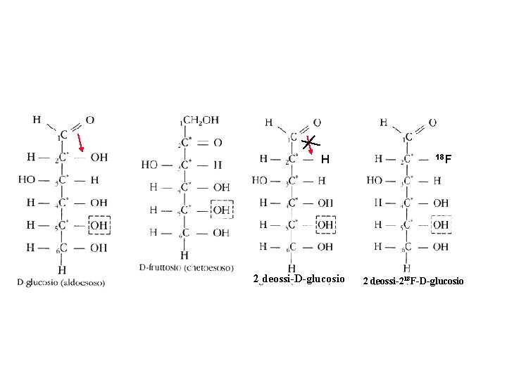 Isomerizzation from aldehyde to ketone not possible because of the lack of the hydroxil