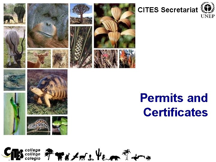 CITES Secretariat Permits and Certificates 1 