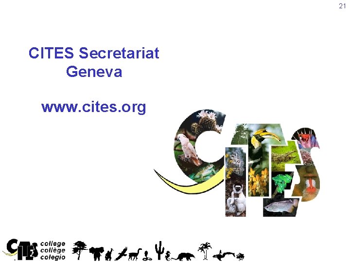 21 CITES Secretariat Geneva www. cites. org 