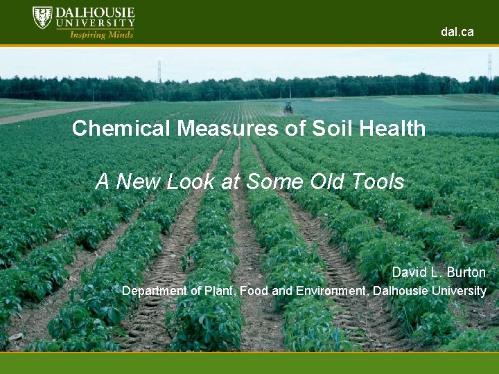 dal. ca www. dal. ca Chemical Measures of Soil Health A New Look at