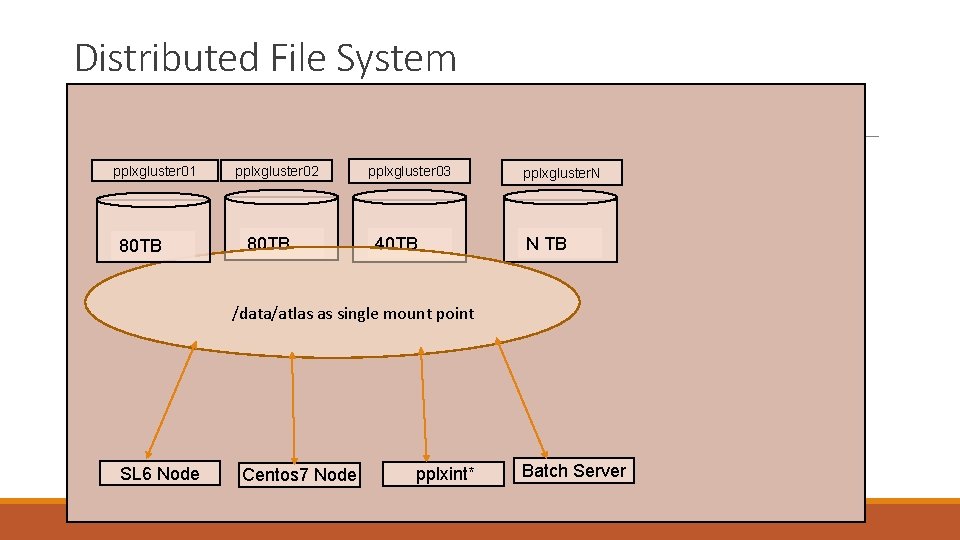 Distributed File System pplxgluster 01 80 TB pplxgluster 02 80 TB pplxgluster 03 40
