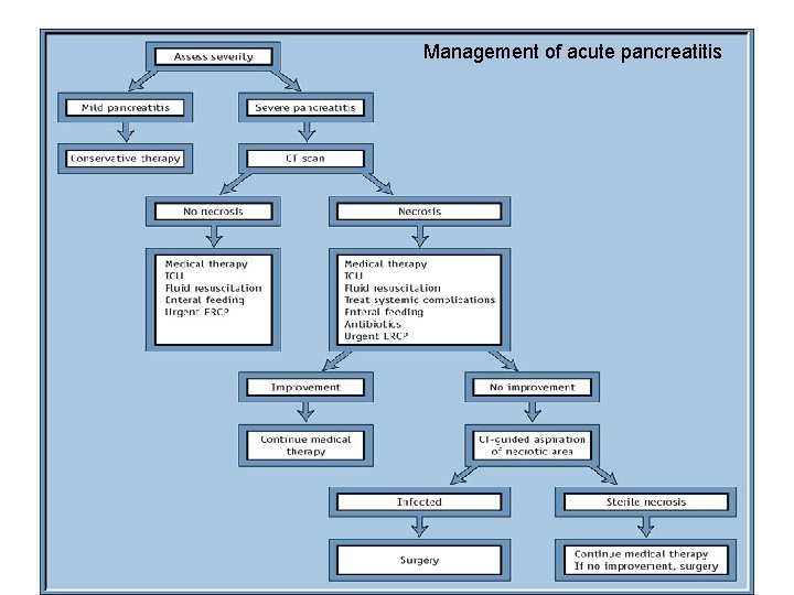Management of acute pancreatitis 