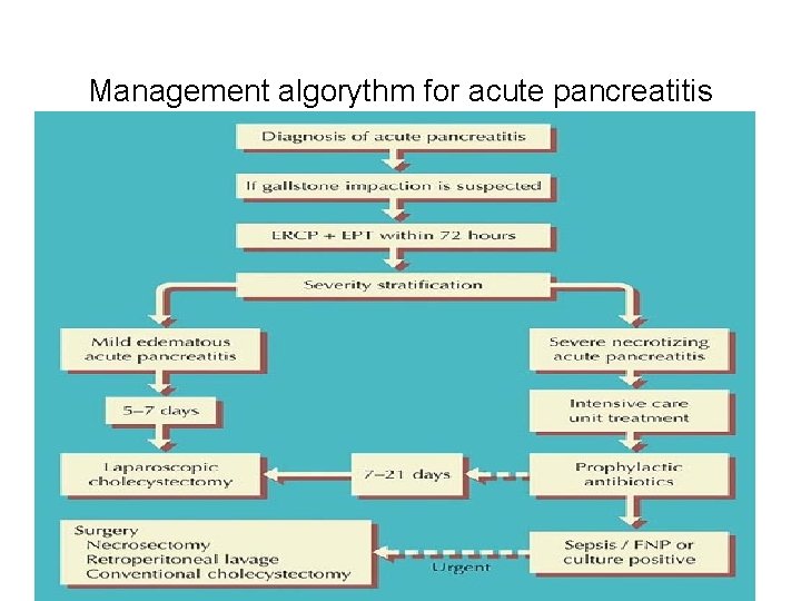 Management algorythm for acute pancreatitis 