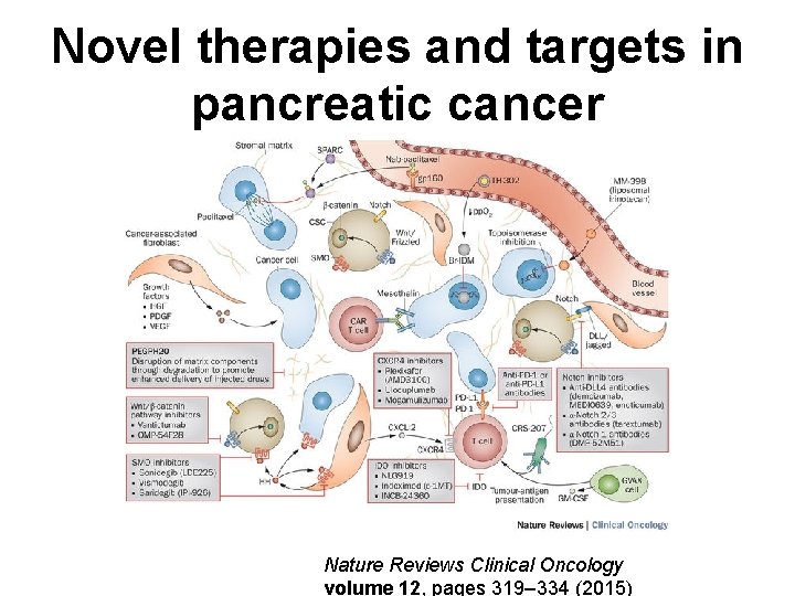 Novel therapies and targets in pancreatic cancer Nature Reviews Clinical Oncology volume 12, pages