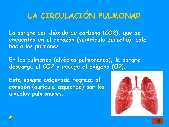 LA CIRCULACIÓN PULMONAR La sangre con dióxido de carbono (CO 2), que se encuentra