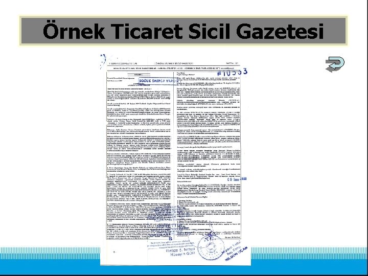 Örnek Ticaret Sicil Gazetesi 