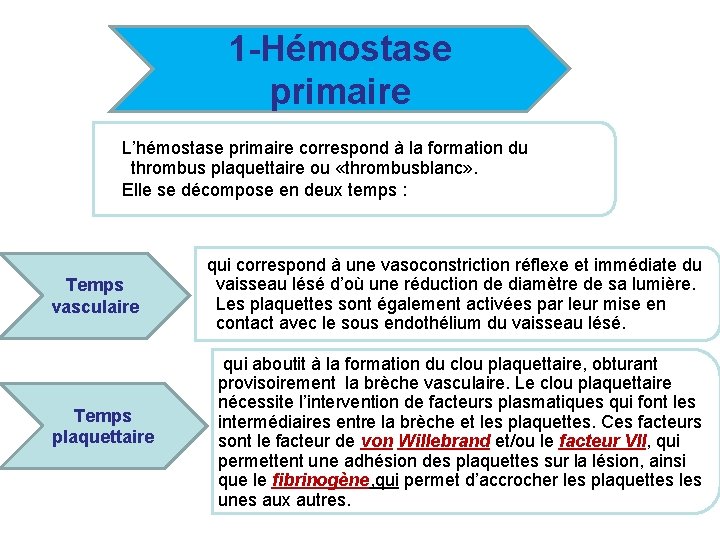 1 -Hémostase primaire L’hémostase primaire correspond à la formation du thrombus plaquettaire ou «thrombusblanc»