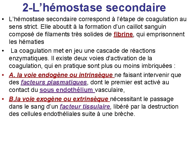 2 -L’hémostase secondaire • L’hémostase secondaire correspond à l’étape de coagulation au sens strict.