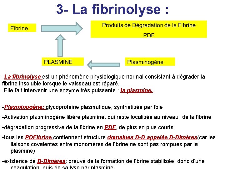 3 - La fibrinolyse : -La fibrinolyse est un phénomène physiologique normal consistant à