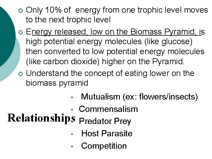 ¡ ¡ ¡ Only 10% of energy from one trophic level moves to the