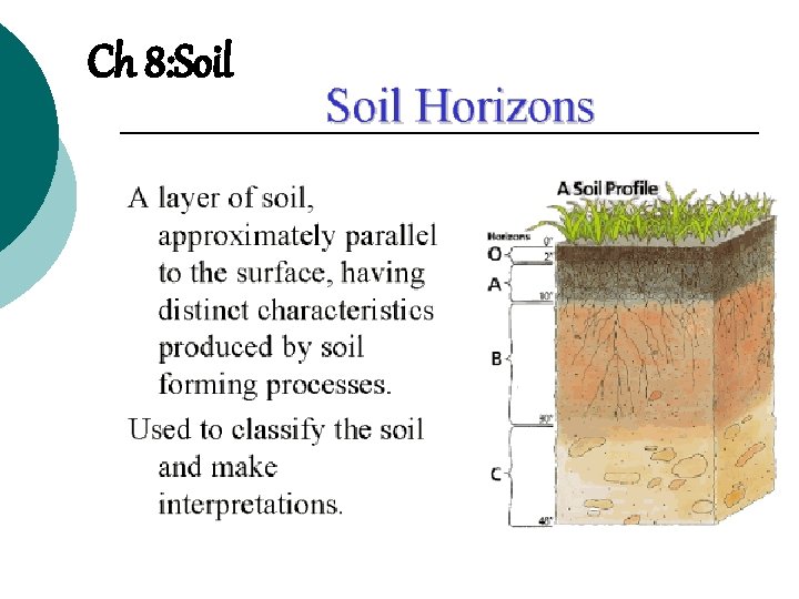 Ch 8: Soil 