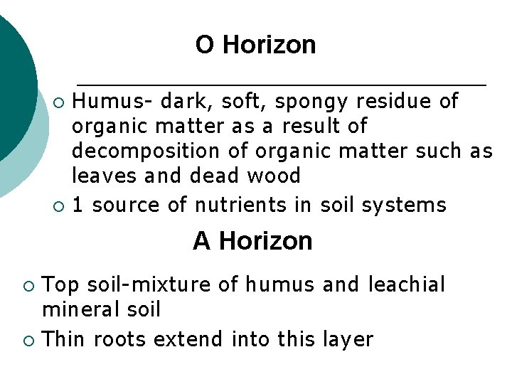 O Horizon Humus- dark, soft, spongy residue of organic matter as a result of