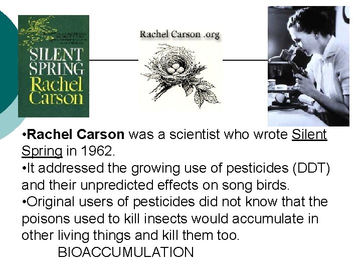  • Rachel Carson was a scientist who wrote Silent Spring in 1962. •