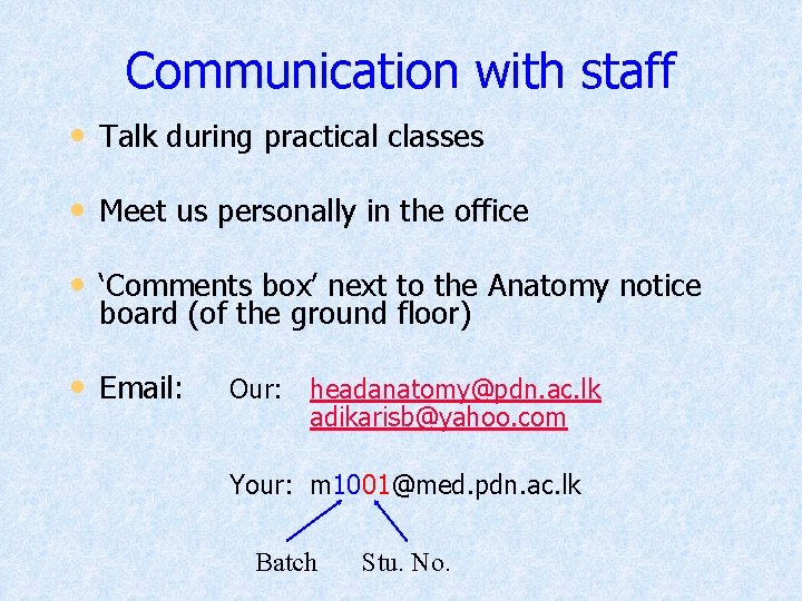 Communication with staff • Talk during practical classes • Meet us personally in the