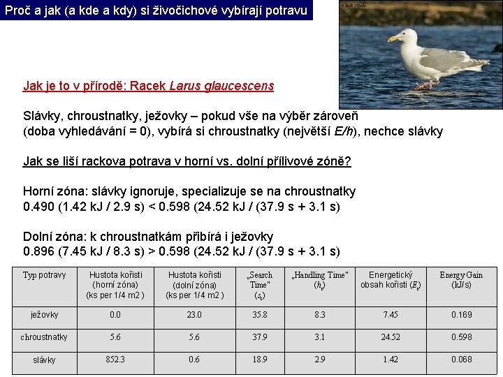 Proč a jak (a kde a kdy) si živočichové vybírají potravu Jak je to