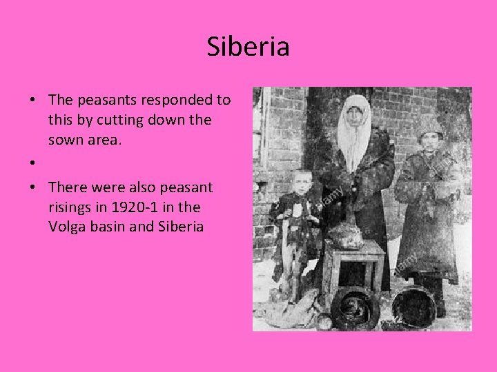 Siberia • The peasants responded to this by cutting down the sown area. •