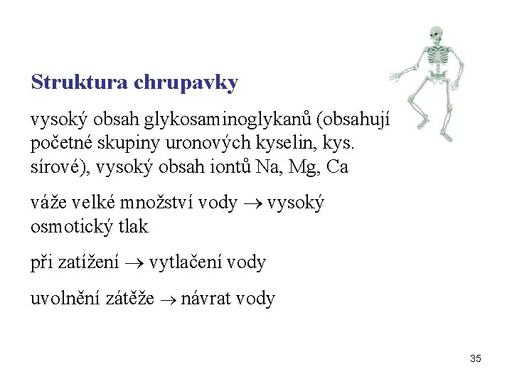 Struktura chrupavky vysoký obsah glykosaminoglykanů (obsahují početné skupiny uronových kyselin, kys. sírové), vysoký obsah