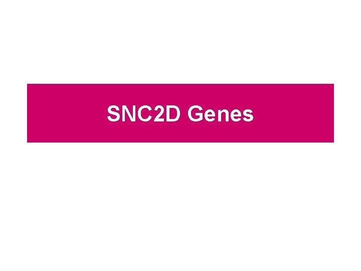 SNC 2 D Genes SNC 2 D Genes
