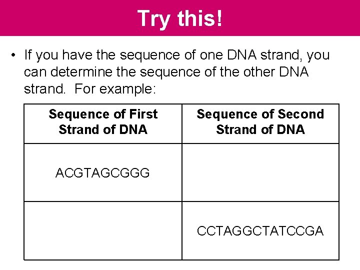 Try this! • If you have the sequence of one DNA strand, you can Try this! • If you have the sequence of one DNA strand, you can