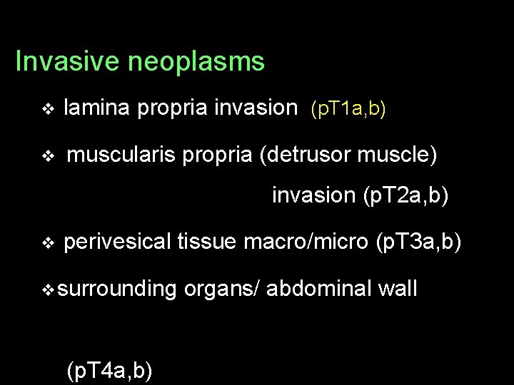 Invasive neoplasms v lamina propria invasion (p. T 1 a, b) v muscularis propria