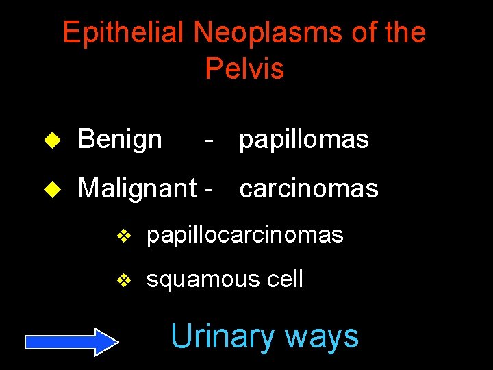 Epithelial Neoplasms of the Pelvis u Benign - papillomas u Malignant - carcinomas v