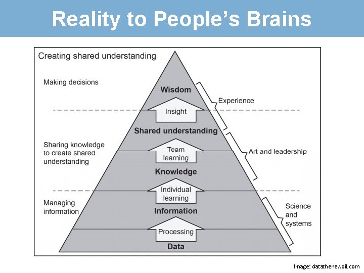 Reality to People’s Brains Image: datathenewoil. com 