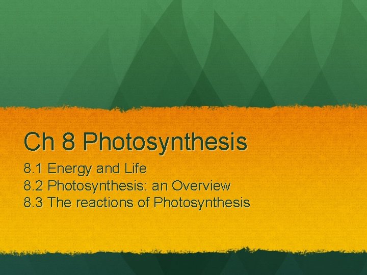 Ch 8 Photosynthesis 8 1 Energy and Life