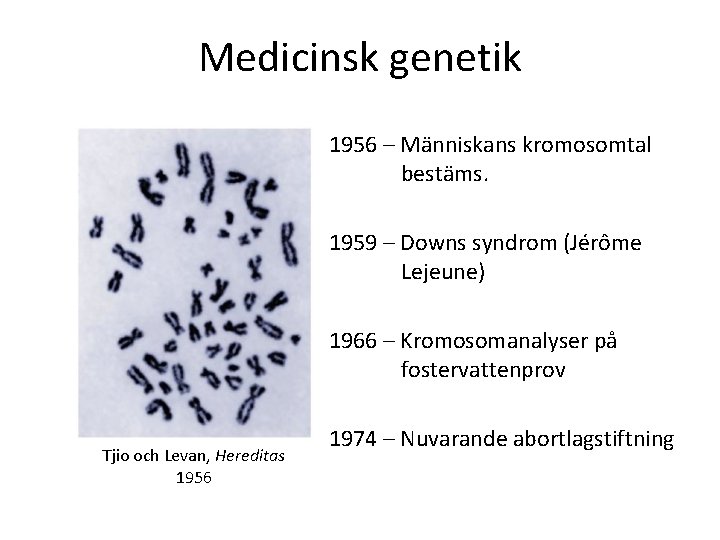 Medicinsk genetik 1956 – Människans kromosomtal bestäms. 1959 – Downs syndrom (Jérôme Lejeune) 1966