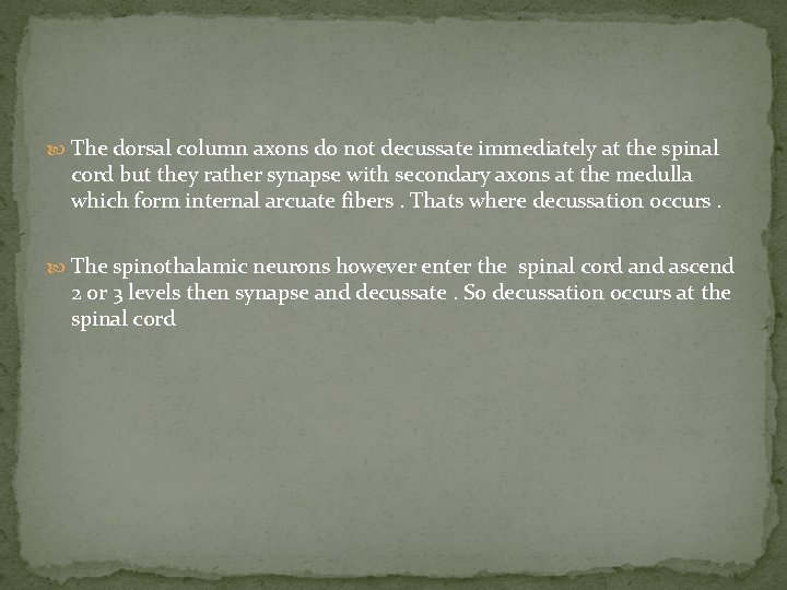  The dorsal column axons do not decussate immediately at the spinal cord but