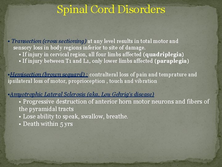 Spinal Cord Disorders • Transection (cross sectioning) at any level results in total motor