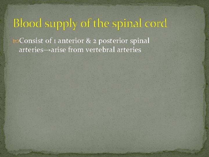 Blood supply of the spinal cord Consist of 1 anterior & 2 posterior spinal