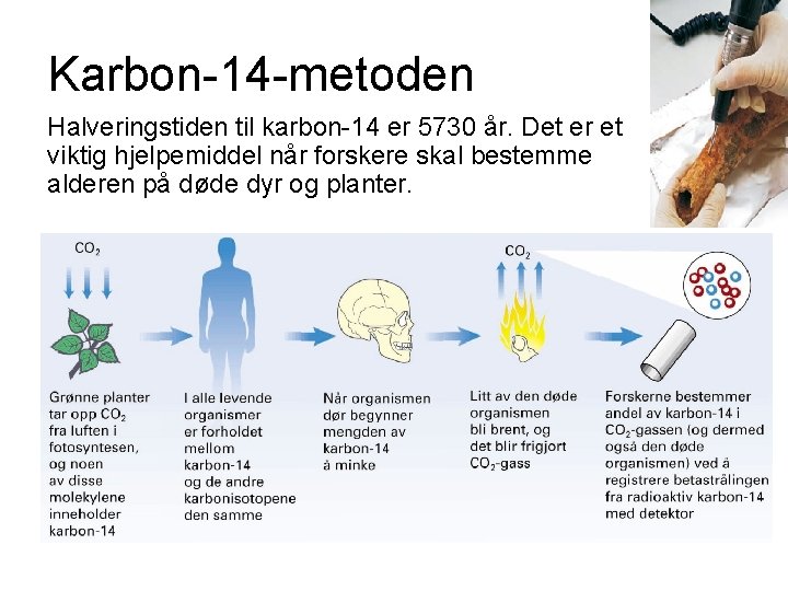 Karbon-14 -metoden Halveringstiden til karbon-14 er 5730 år. Det er et viktig hjelpemiddel når