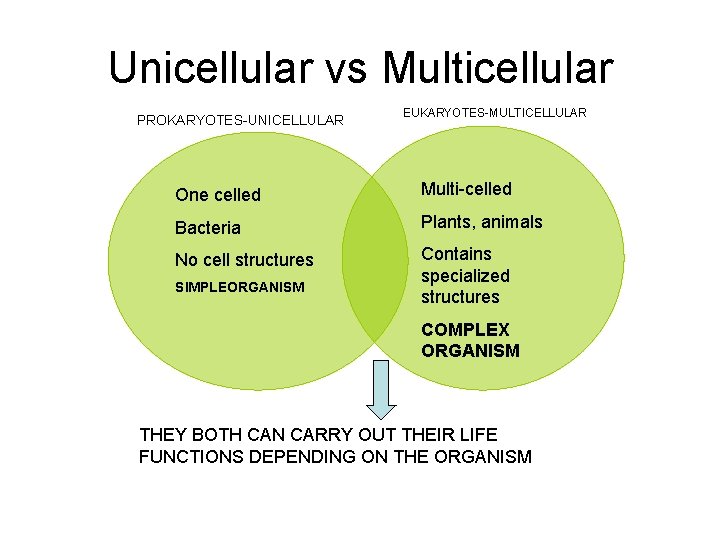 Unicellular vs Multicellular PROKARYOTES-UNICELLULAR EUKARYOTES-MULTICELLULAR One celled Multi-celled Bacteria Plants, animals No cell structures