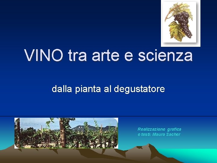 VINO tra arte e scienza dalla pianta al degustatore Realizzazione grafica e testi: Maura