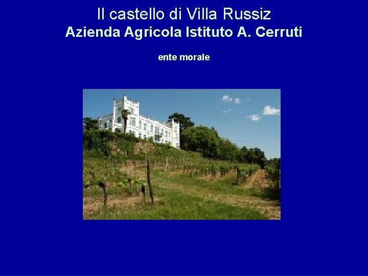 Il castello di Villa Russiz Azienda Agricola Istituto A. Cerruti ente morale 