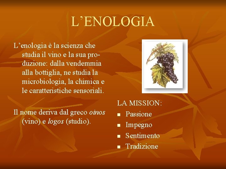 L’ENOLOGIA L’enologia è la scienza che studia il vino e la sua produzione: dalla