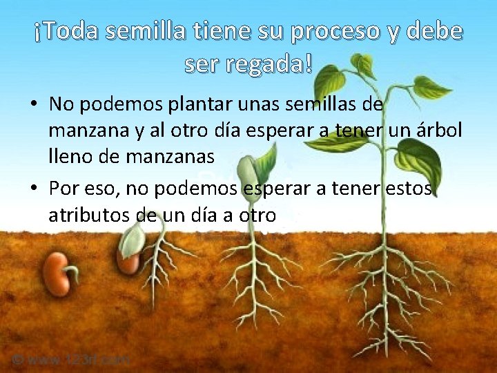 ¡Toda semilla tiene su proceso y debe ser regada! • No podemos plantar unas